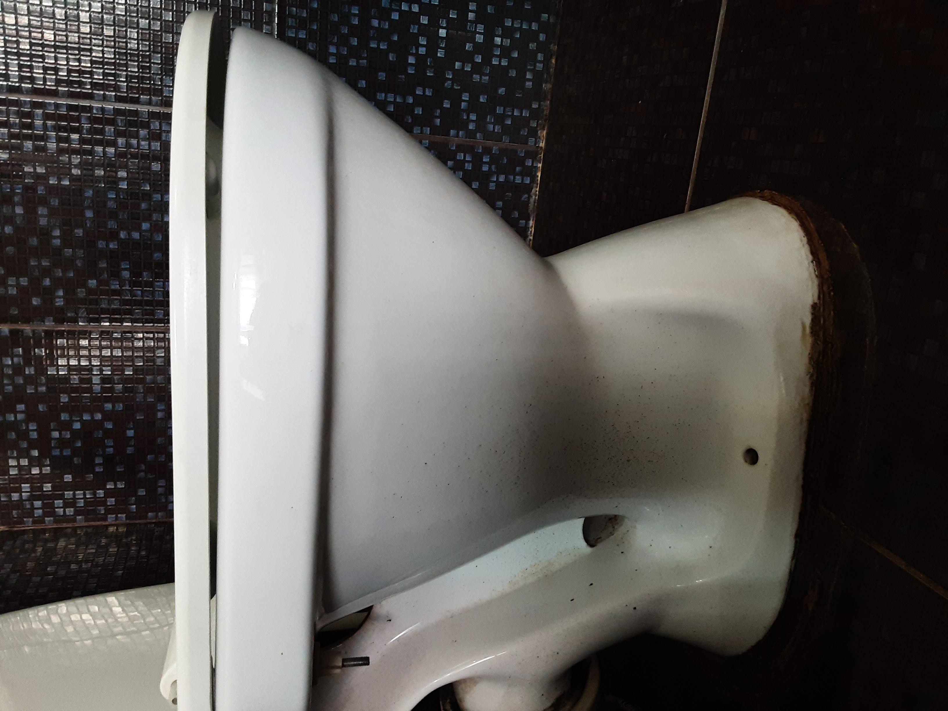 Фото Парадис