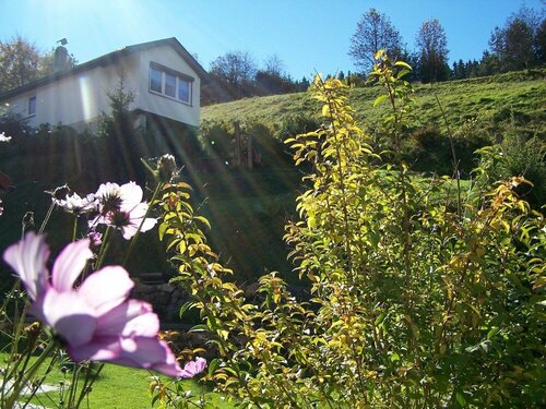 Гостиница Bright Holiday Home in Schonbrunn With Garden