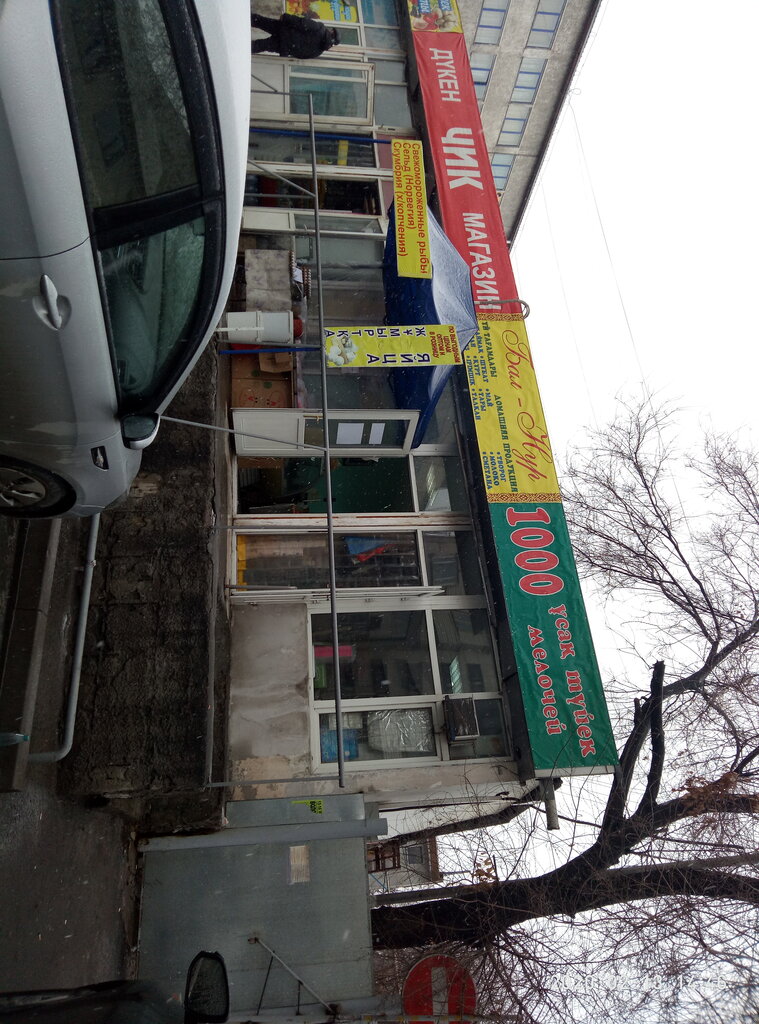 Fish and seafood Fresh fish, Almaty, photo