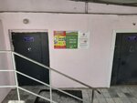 Страна чудес (203rd Microdistrict, 6), organization of children events
