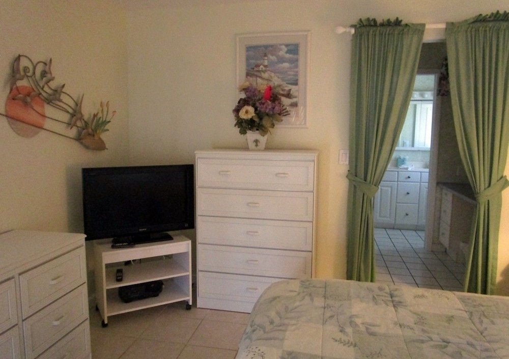 Фото Palm Tree by 123cape Vr