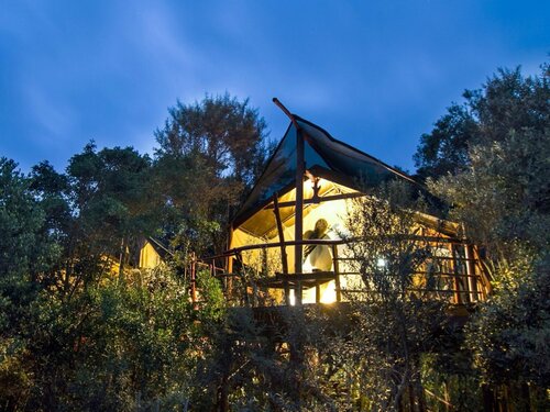 Гостиница Teniqua Treetops