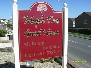 Maple Tree Guesthouse