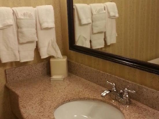 Фото Hilton Garden Inn Seattle North/Everett