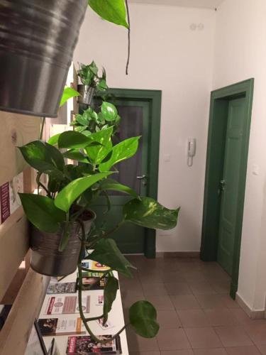 Фото Low Cost Ferrara