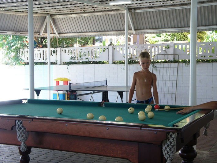 Фото Фламинго