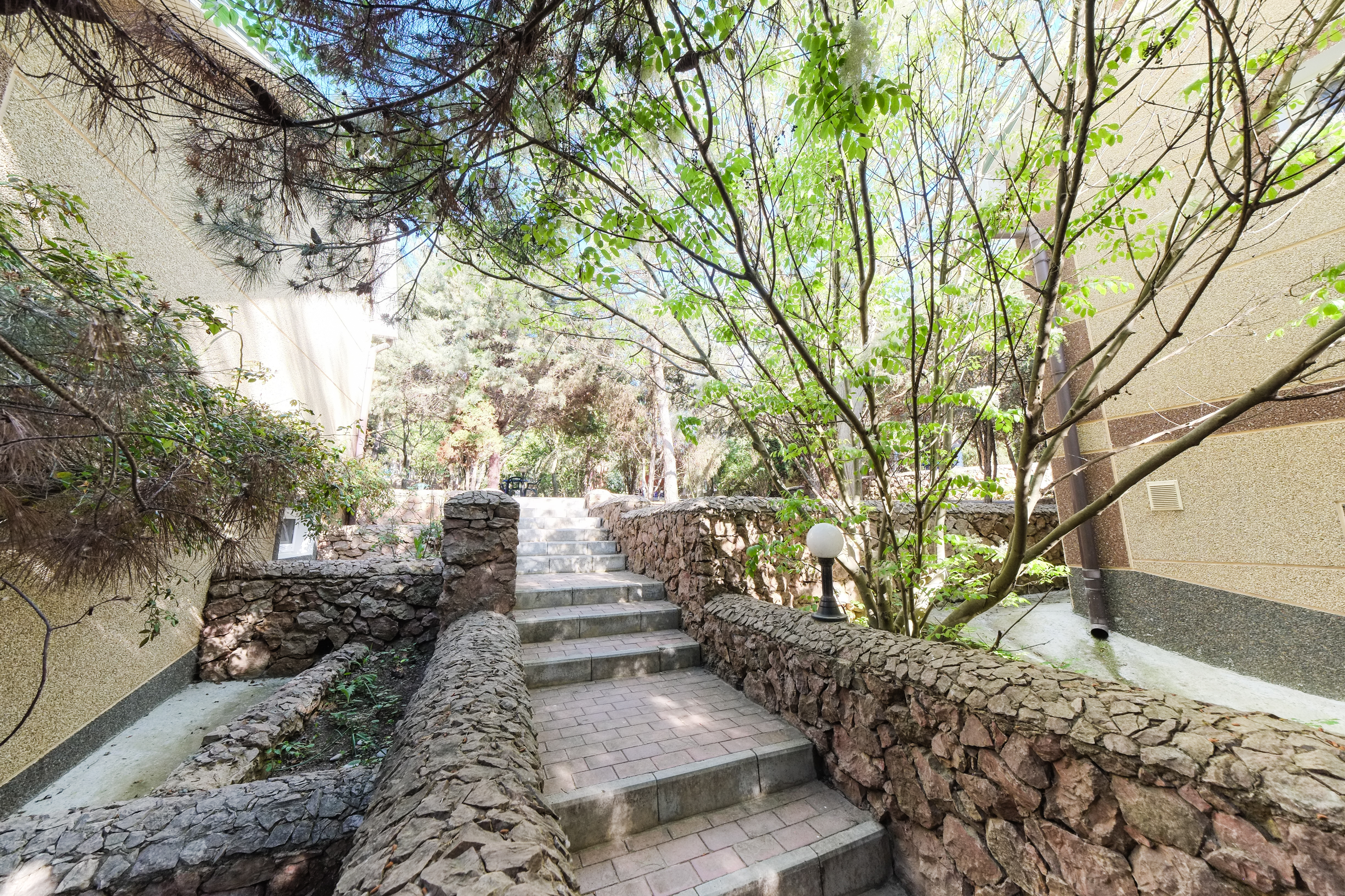 Фото Качинская