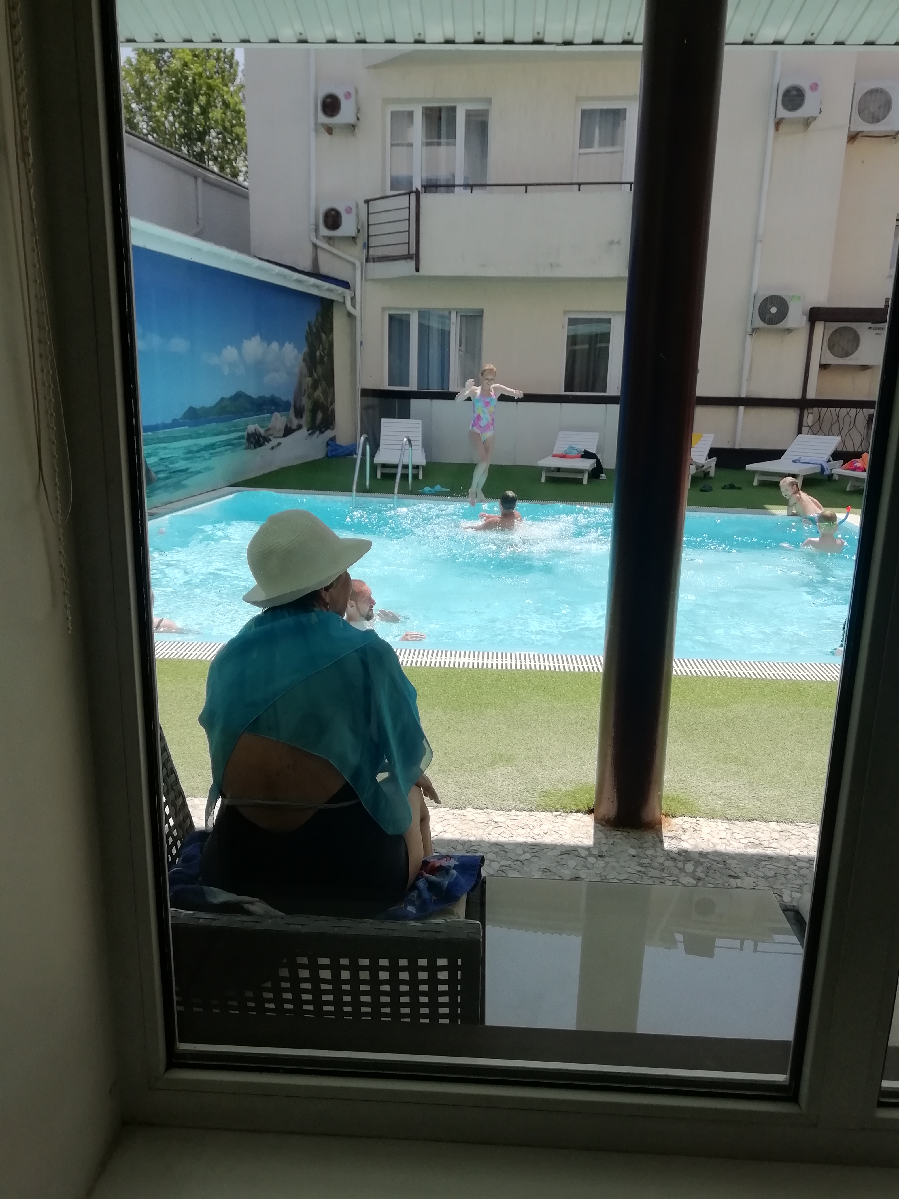 Фото Альбатрос