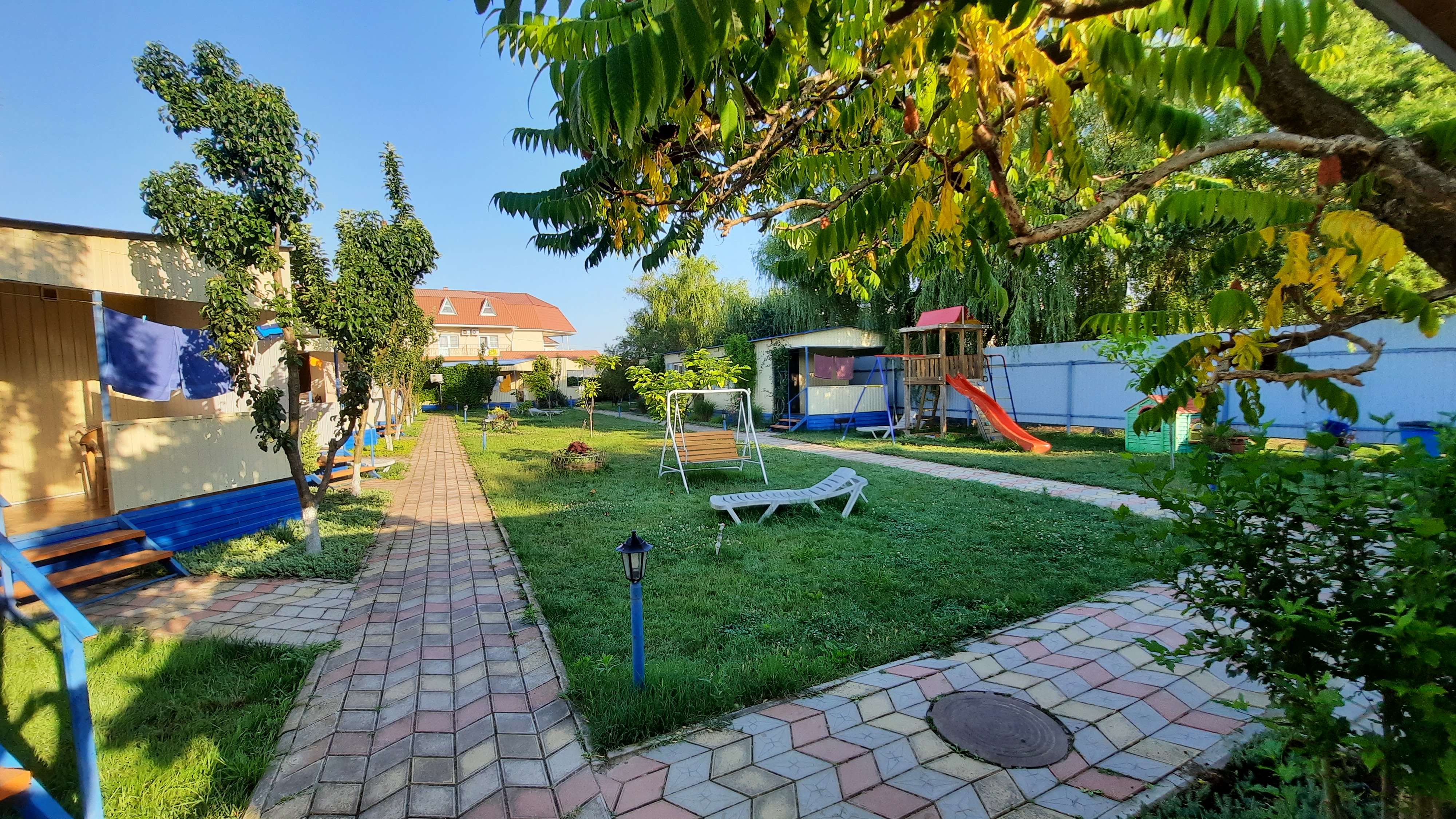 Фото Дельфин