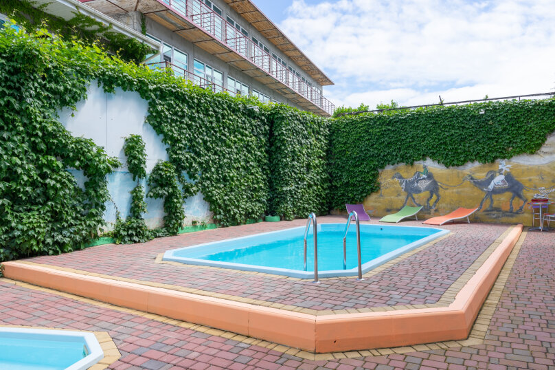 Фото У верблюжьих горбов