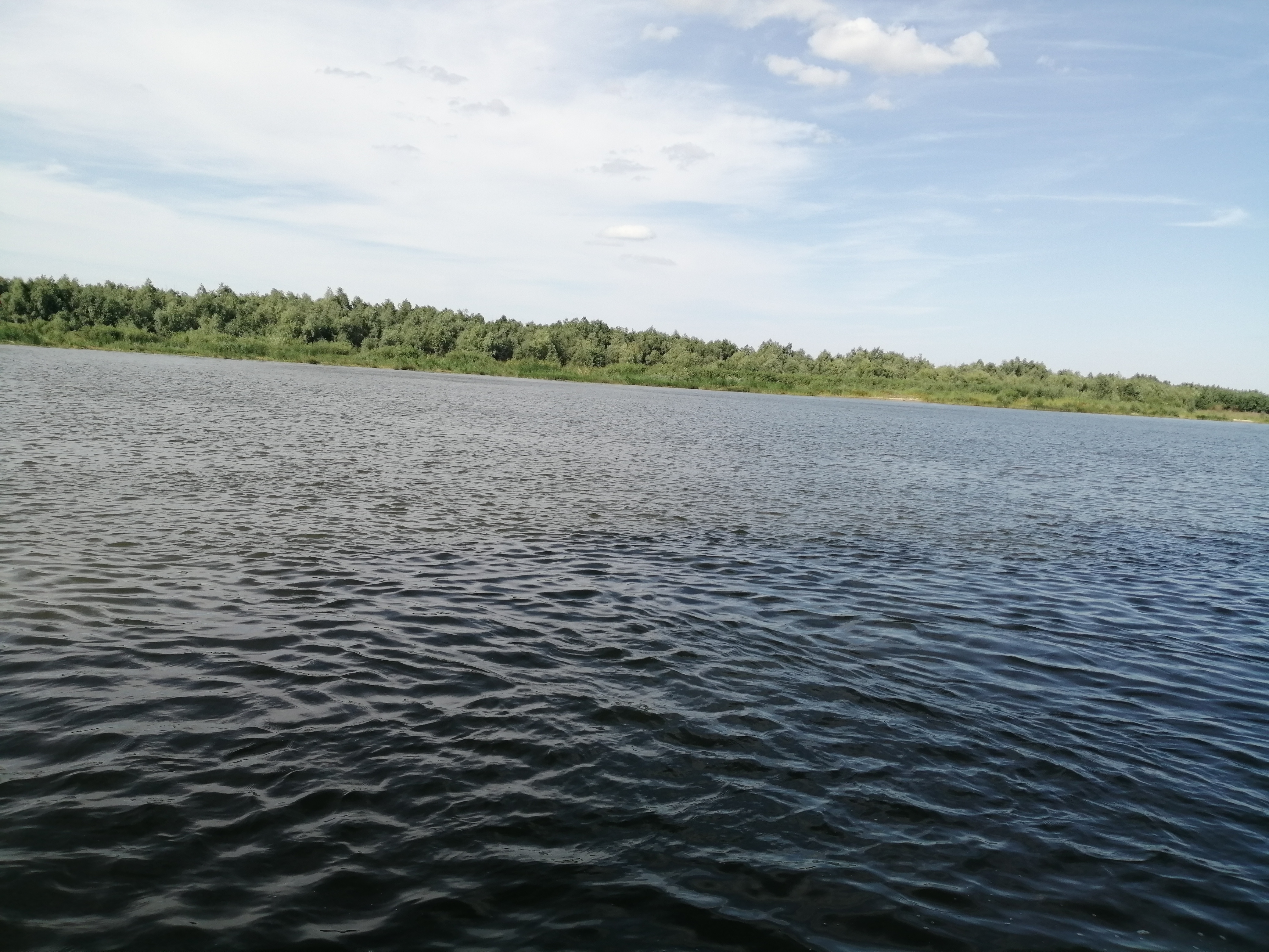 Фото Донская весна