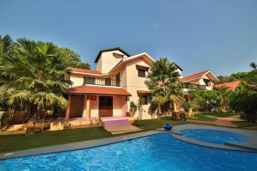 Фото Amour Resort