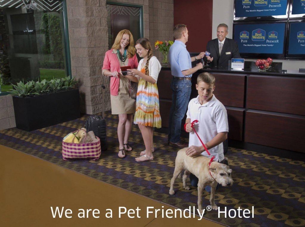 Фото Jasper Inn & Suites by INNhotels