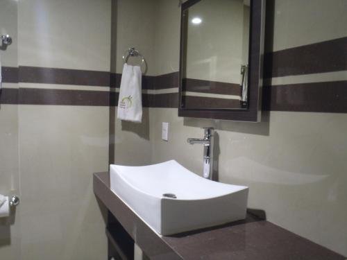 Фото Hotel Borda Cuernavaca