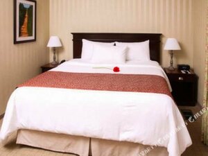 Гостиница Quality Inn & x26; Suites Downtown