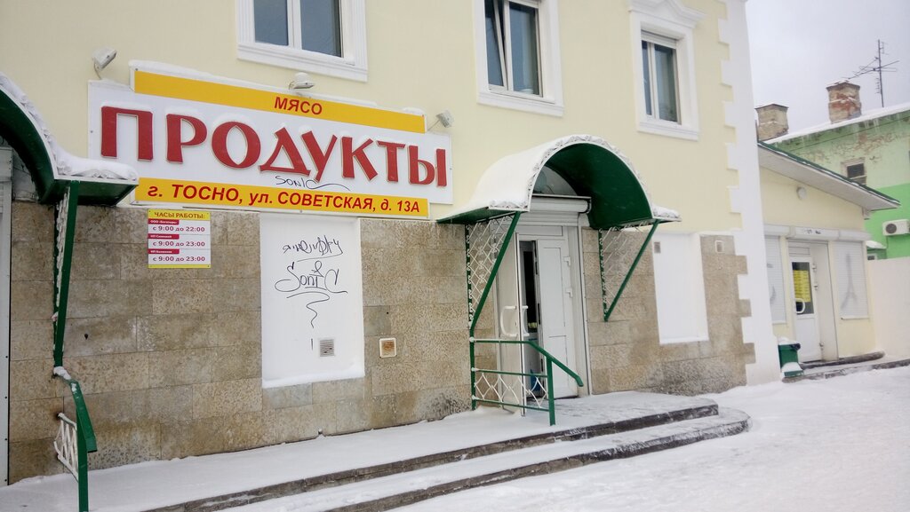 Самсон виста запись
