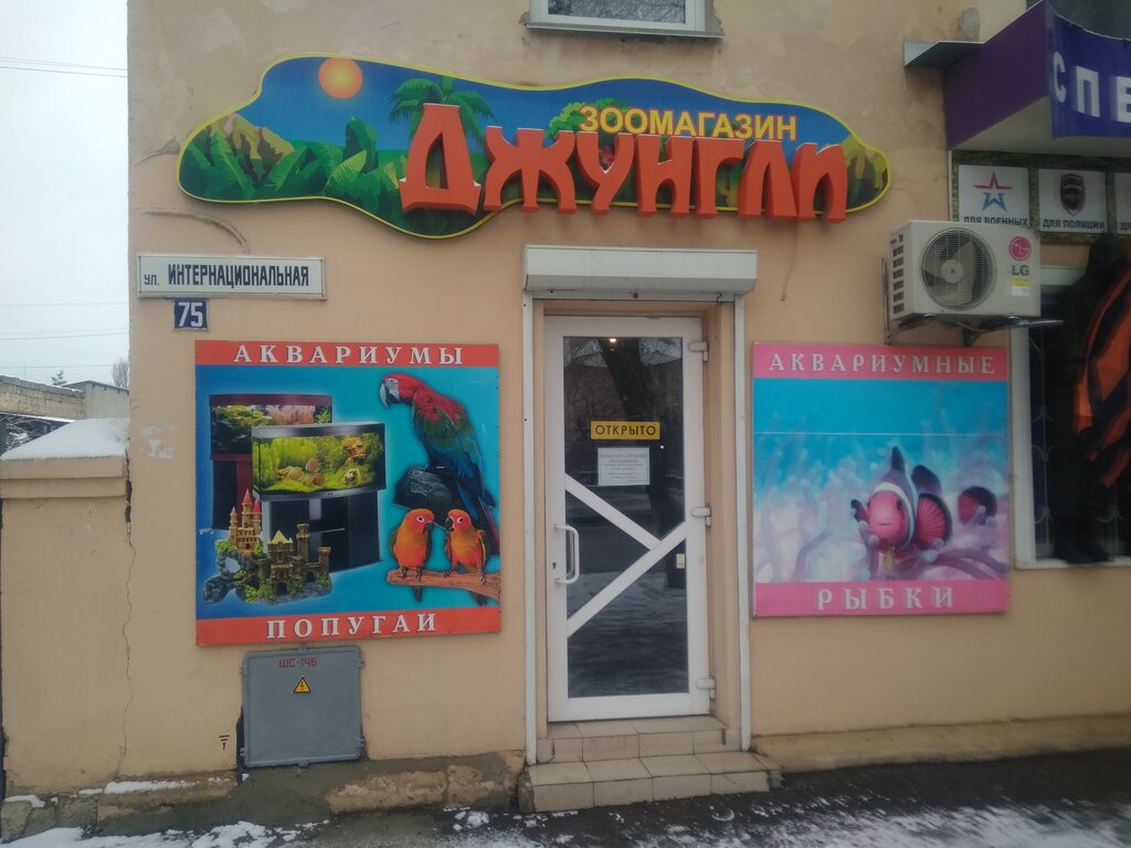 Зооджунгли Севастополь Интернет Магазин