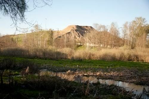 Resort Лисья Гора, Moscow and Moscow Oblast, photo