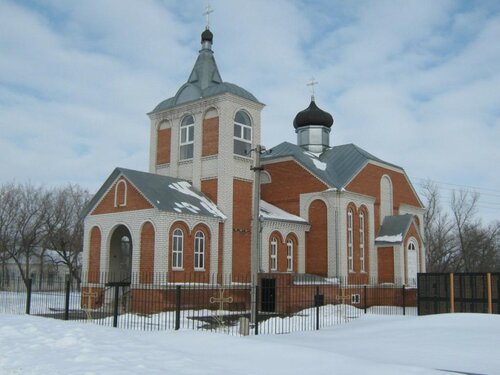 Православный храм Церковь Космы и Дамиана, Воронежская область, фото