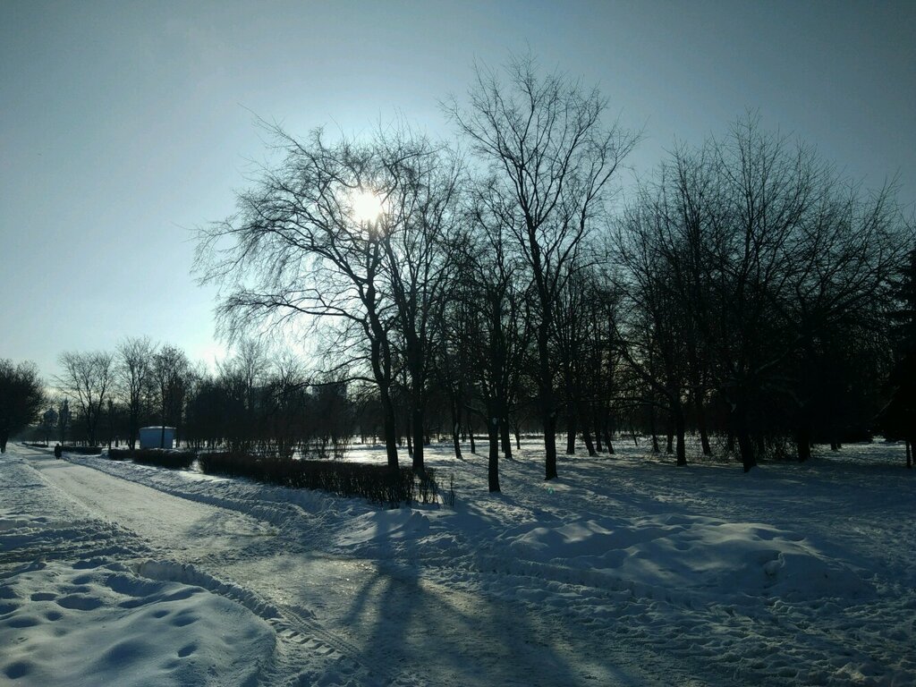 Парк культуры и отдыха Пулковский Парк, Санкт‑Петербург, фото