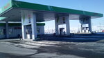 Fresh-Oil (Penzenskiy Municipal District, Salovskiy selsovet), gas station