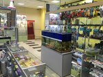Living world (ulitsa Mashinostroiteley, 10), pet shop