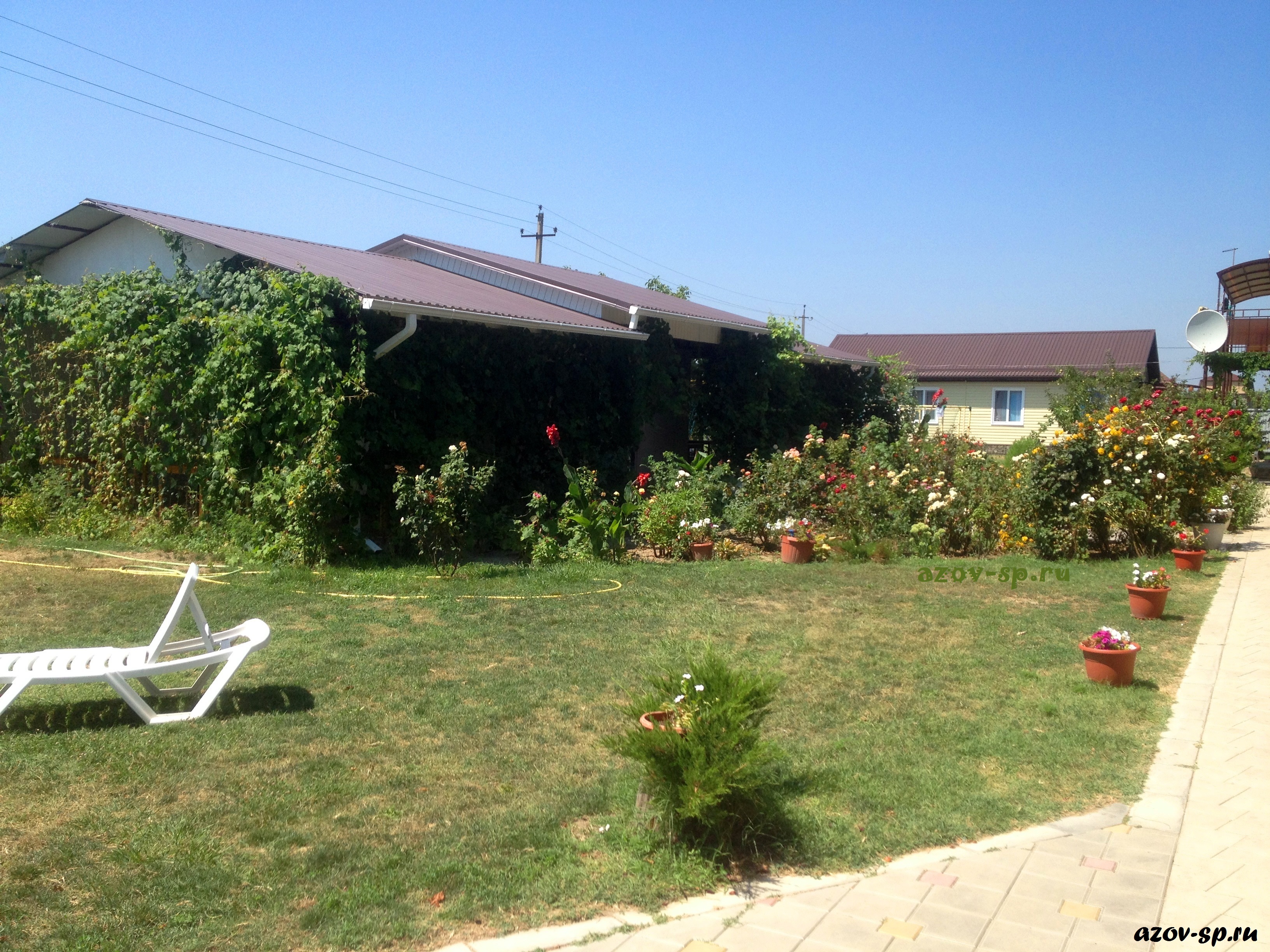 Фото Солнечная поляна