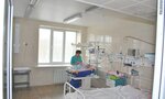 Kuzbass Children's Clinical Hospital named after Professor Yu. E. Malakhovsky (Novokuznetsk, Dimitrova Street, 33) ، قسم المستشفى