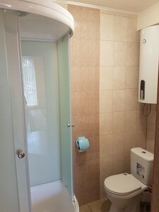 Золотой лев