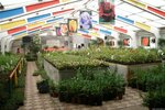 Novyye tekhnologii (Sosnovka Village, Severnaya Street, 10), centro de jardinería