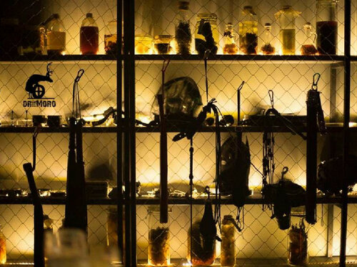 Порно тонаушылар күшпен тартып алды