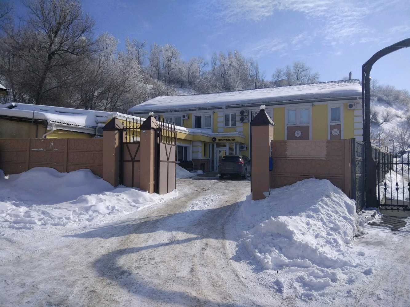 Фото Журавли