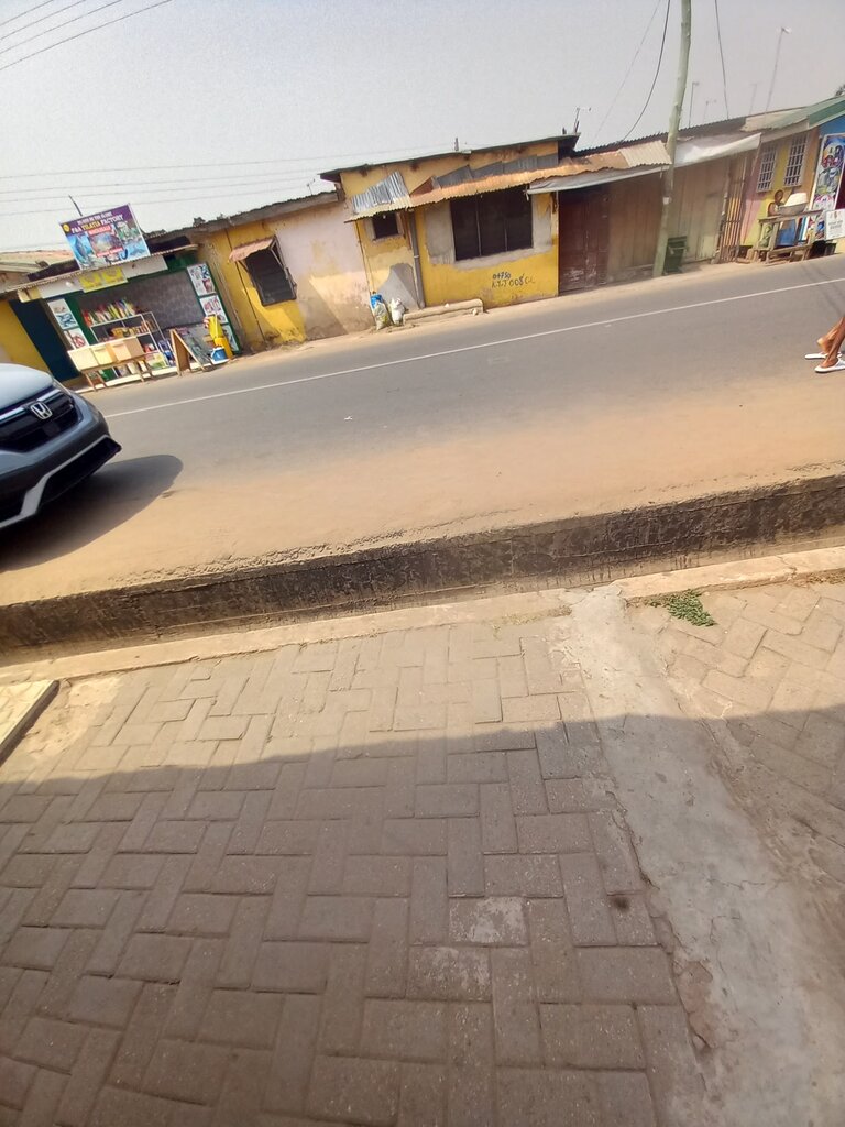 Grocery F&A Tilapia Fact, Earth, photo