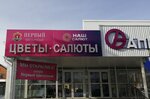 The First Flower (mikrorayon Rostoshi, Gazpromovskaya ulitsa, 80), flower shop
