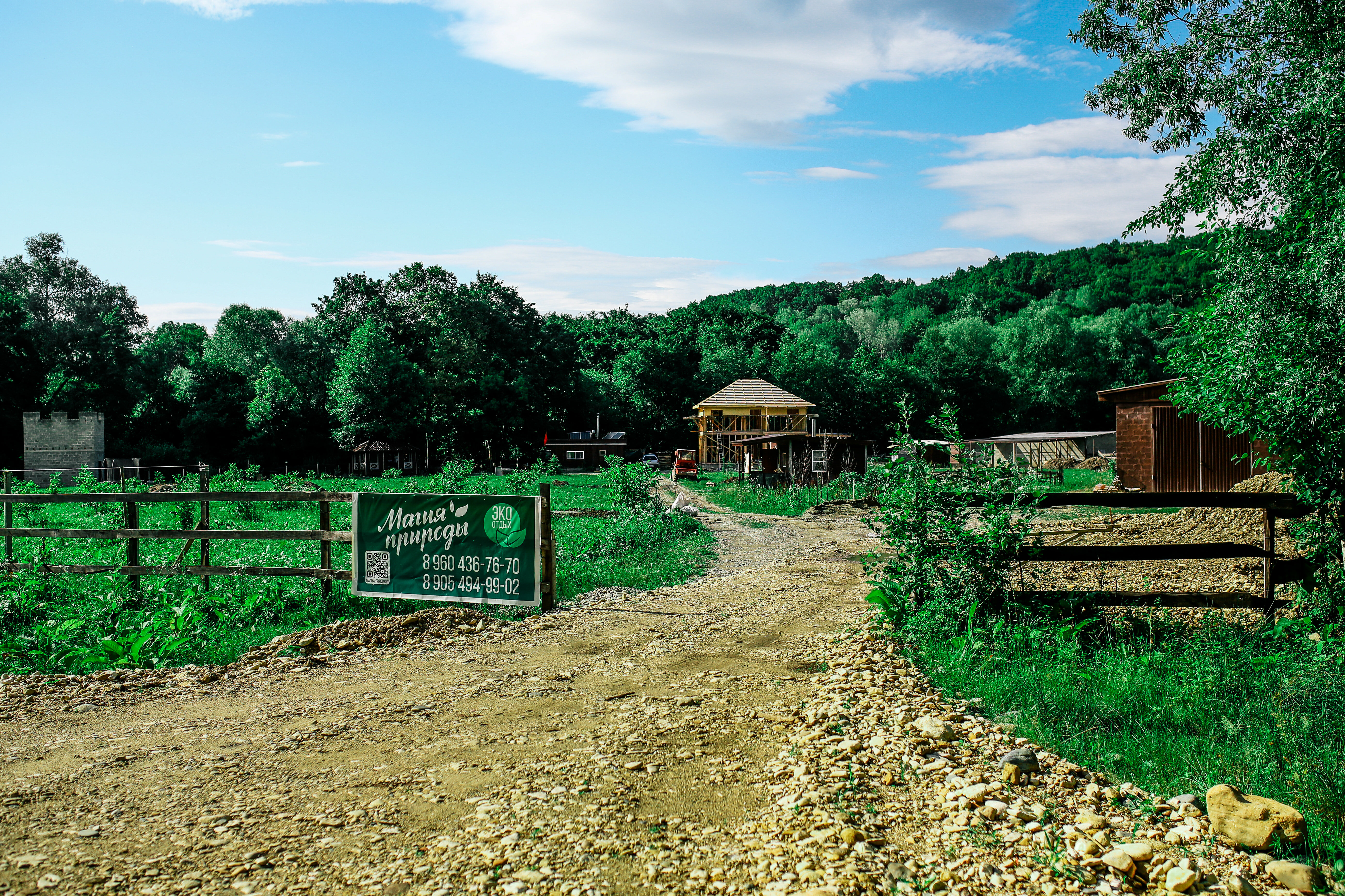 Фото Магия природы