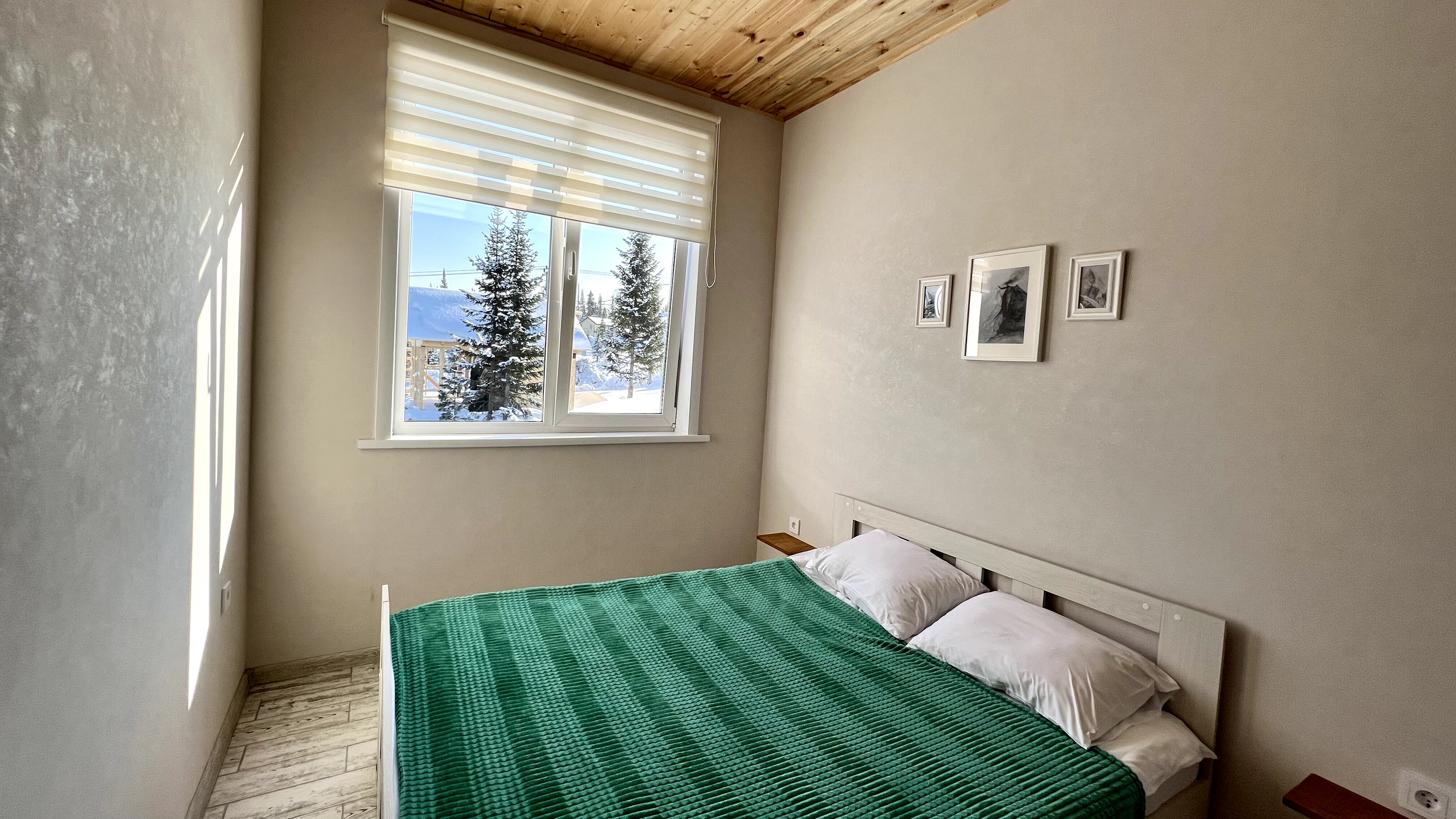 Фото Гостевые дома Баланс