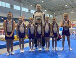 Сеть профессиональных гимнастических центров Мэднес (ulitsa Telnova, 3/2), sports club