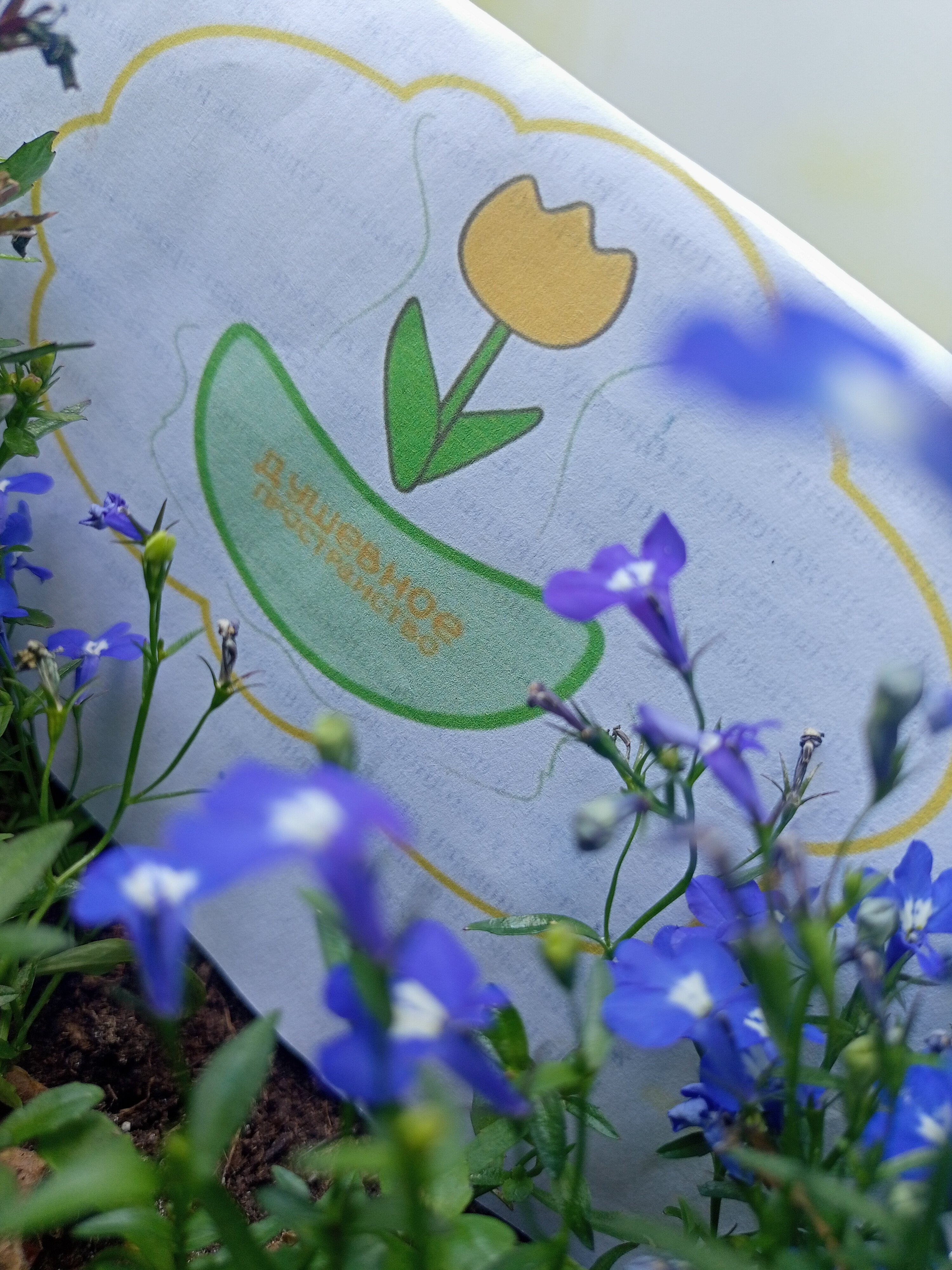 Фото Душевное пространство