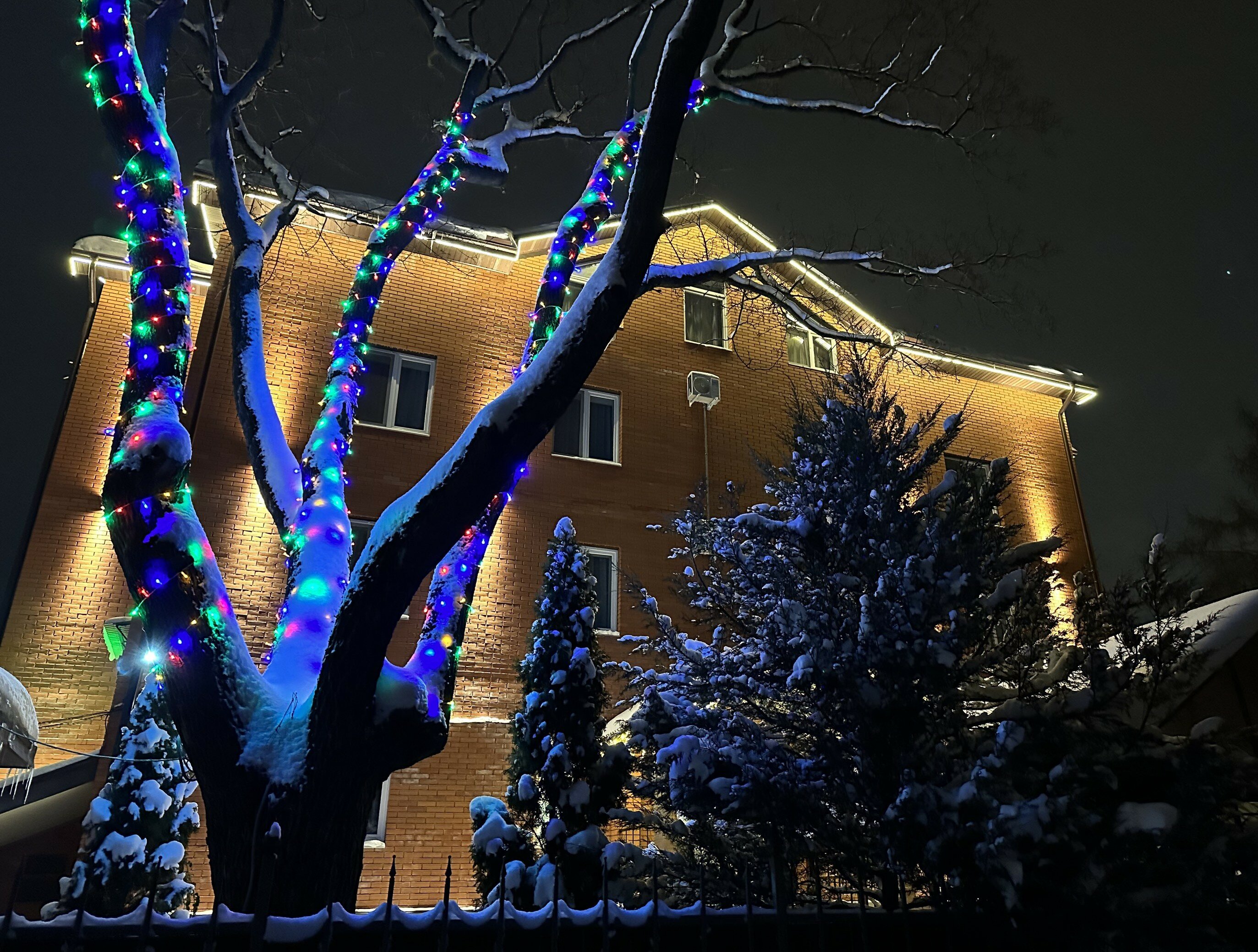 Фото Грин Стар