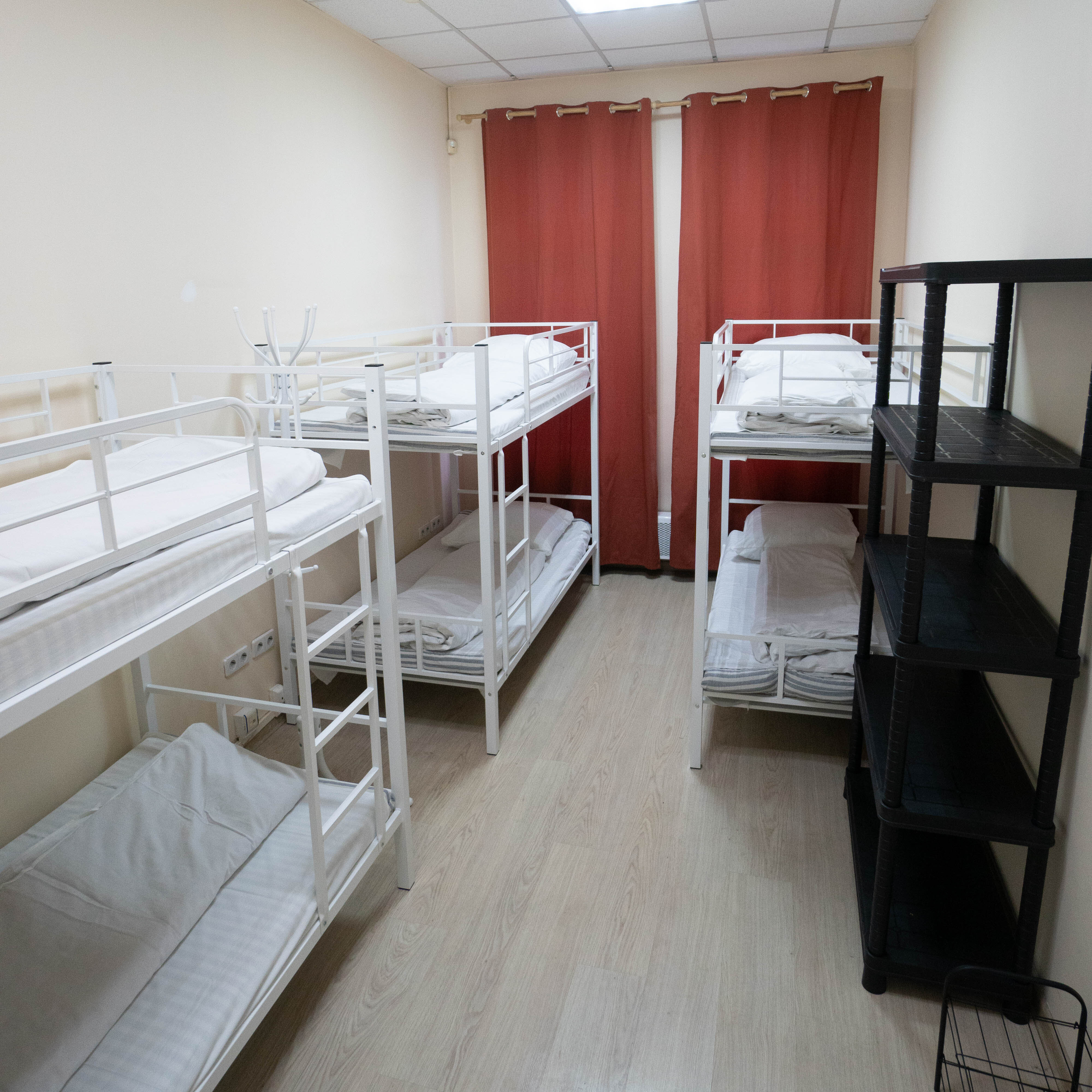 Фото Все медведи