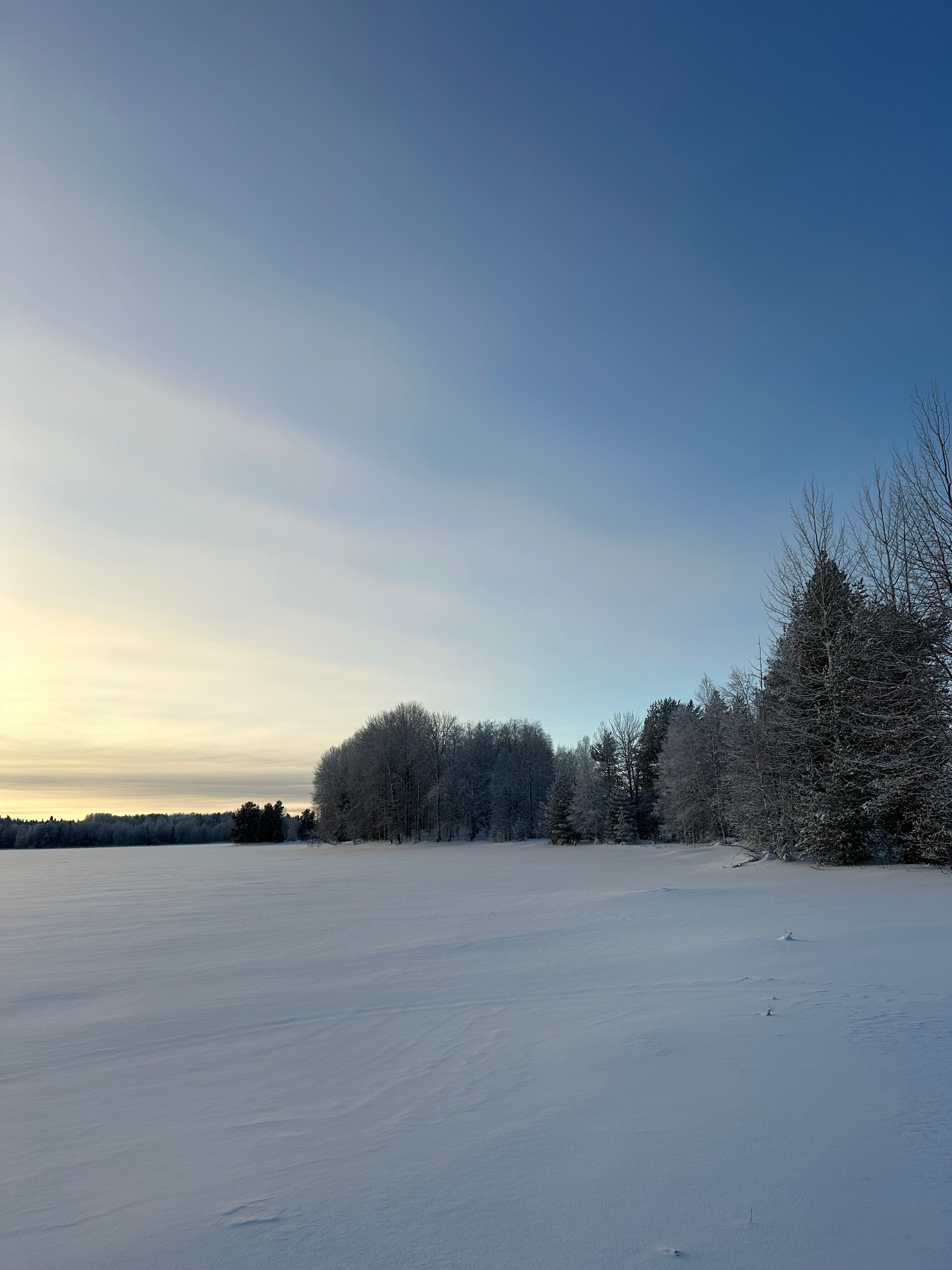 Фото Эко-кемп Водлозерье