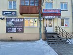 Цветы для всех (94-y kvartal, 12), floristeria