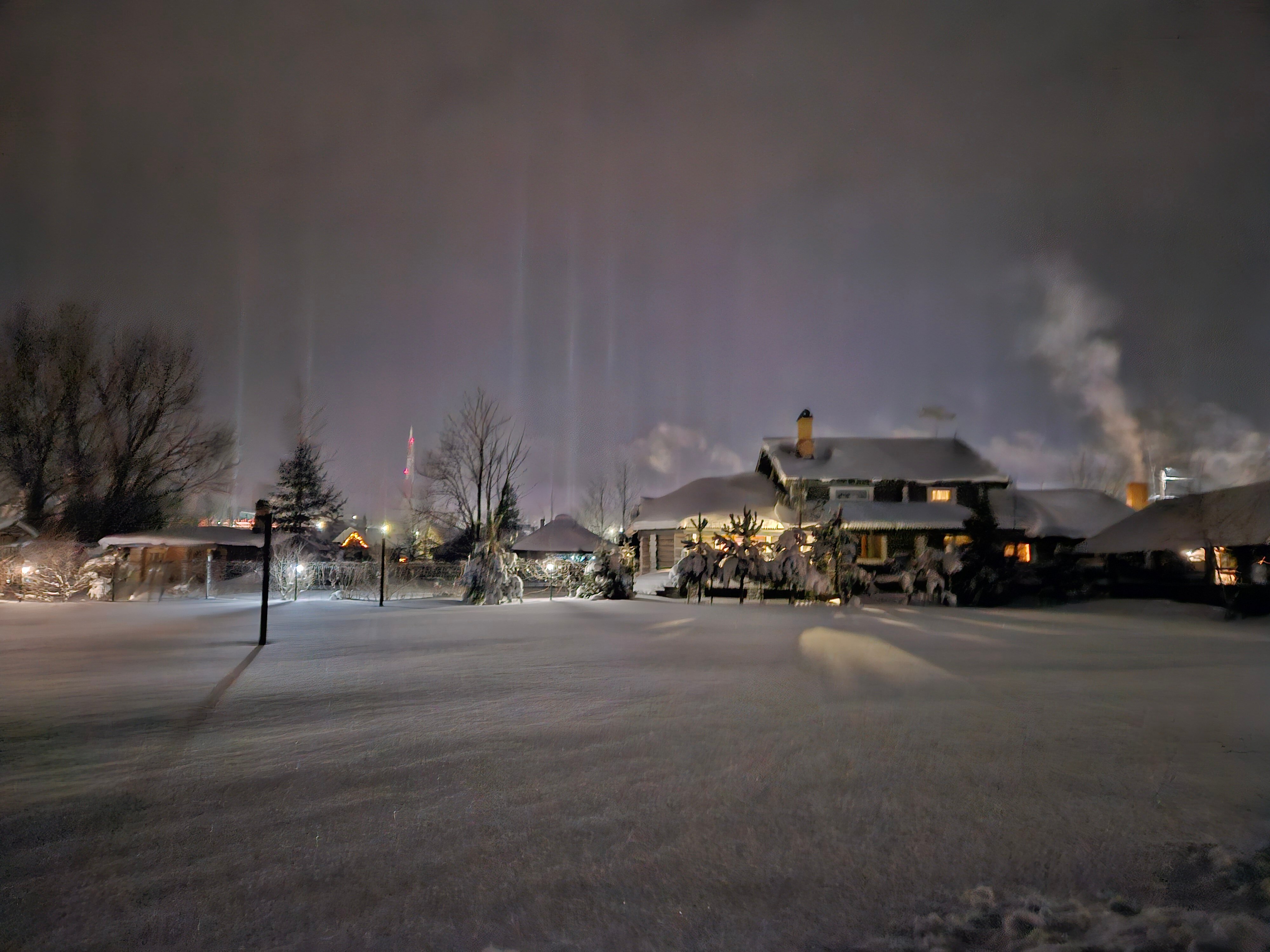 Фото Сорока