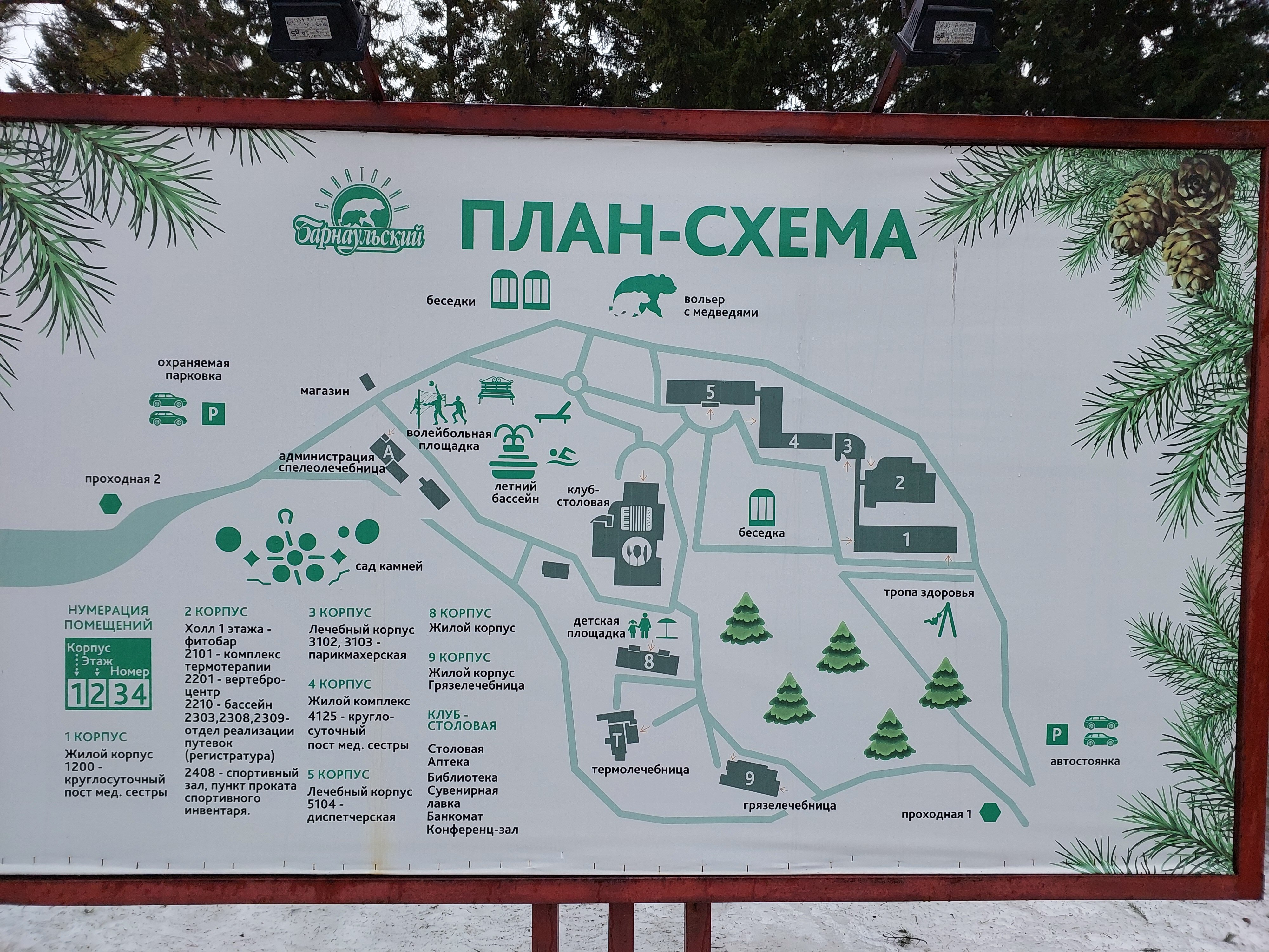 Фото Барнаульский