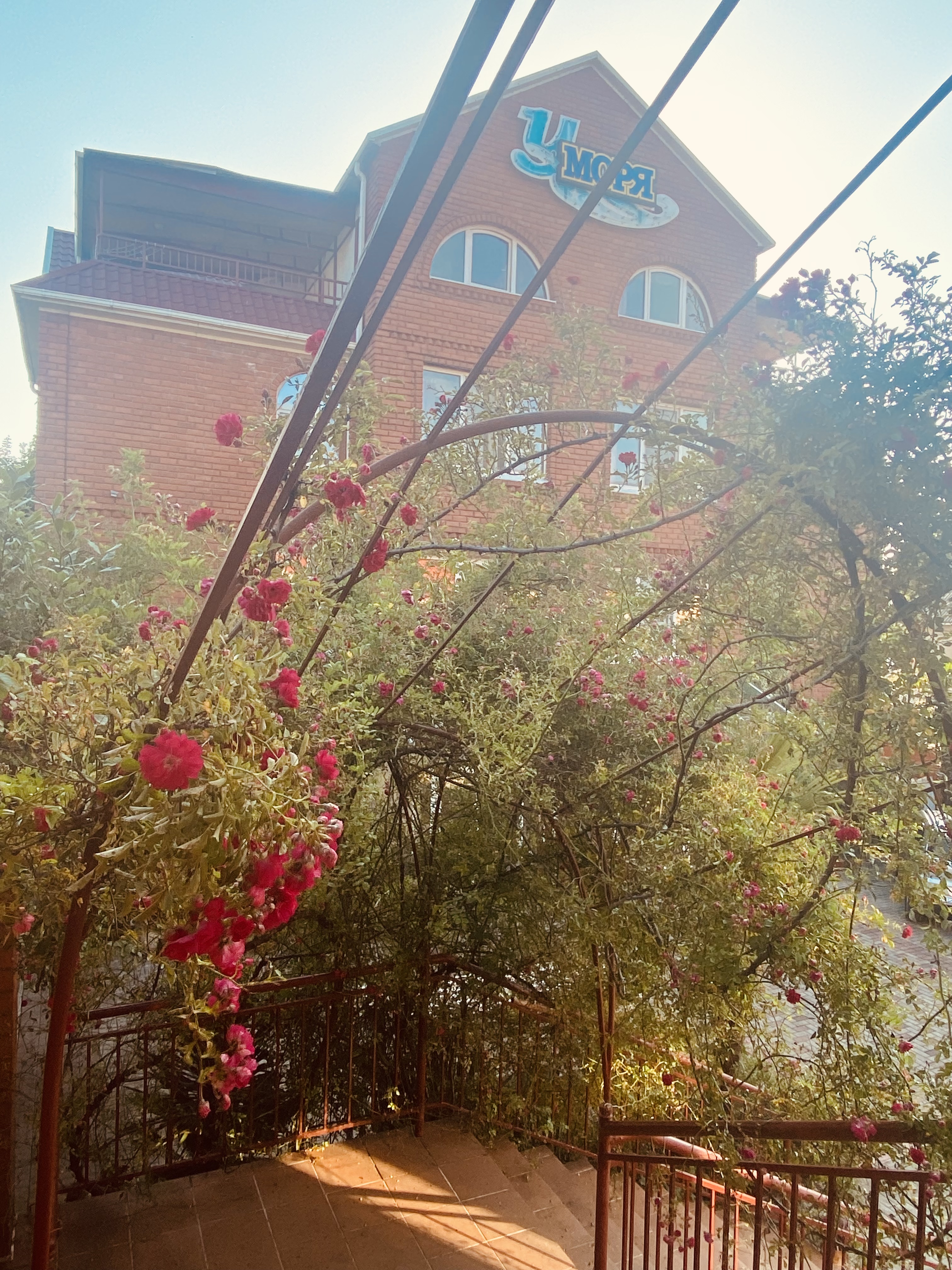 Фото У Моря