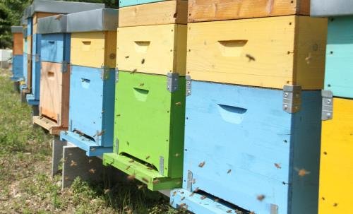 Фото Villa Rigacci