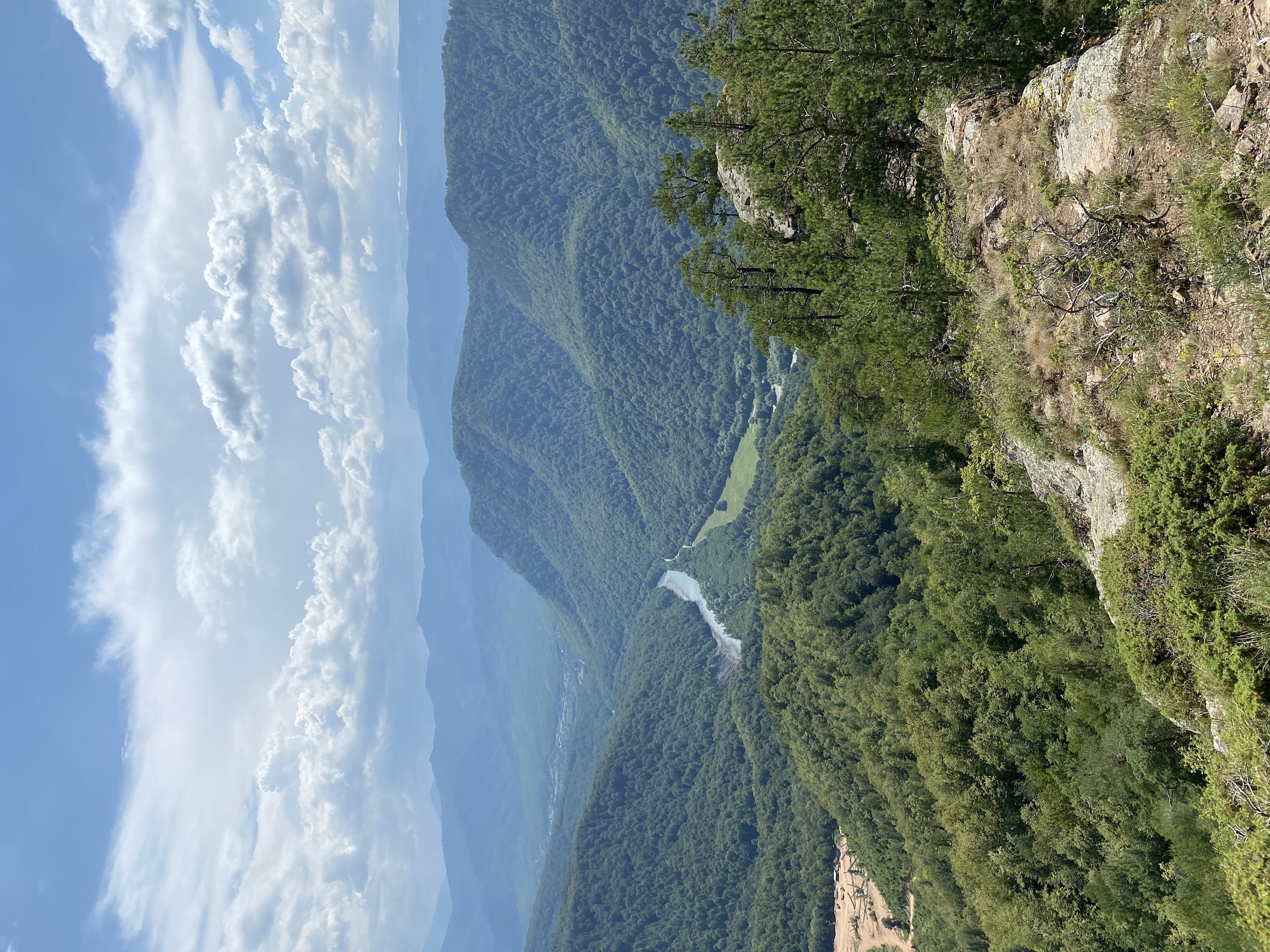 Фото Никель