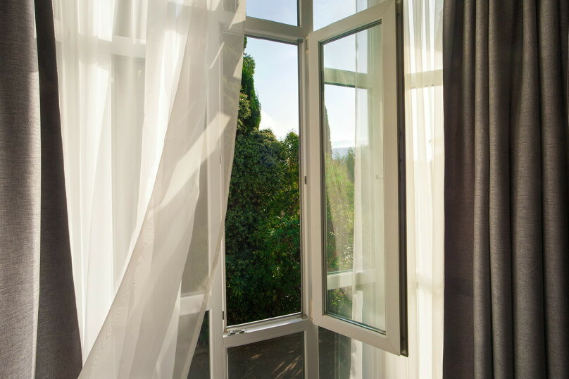 Фото Медуза