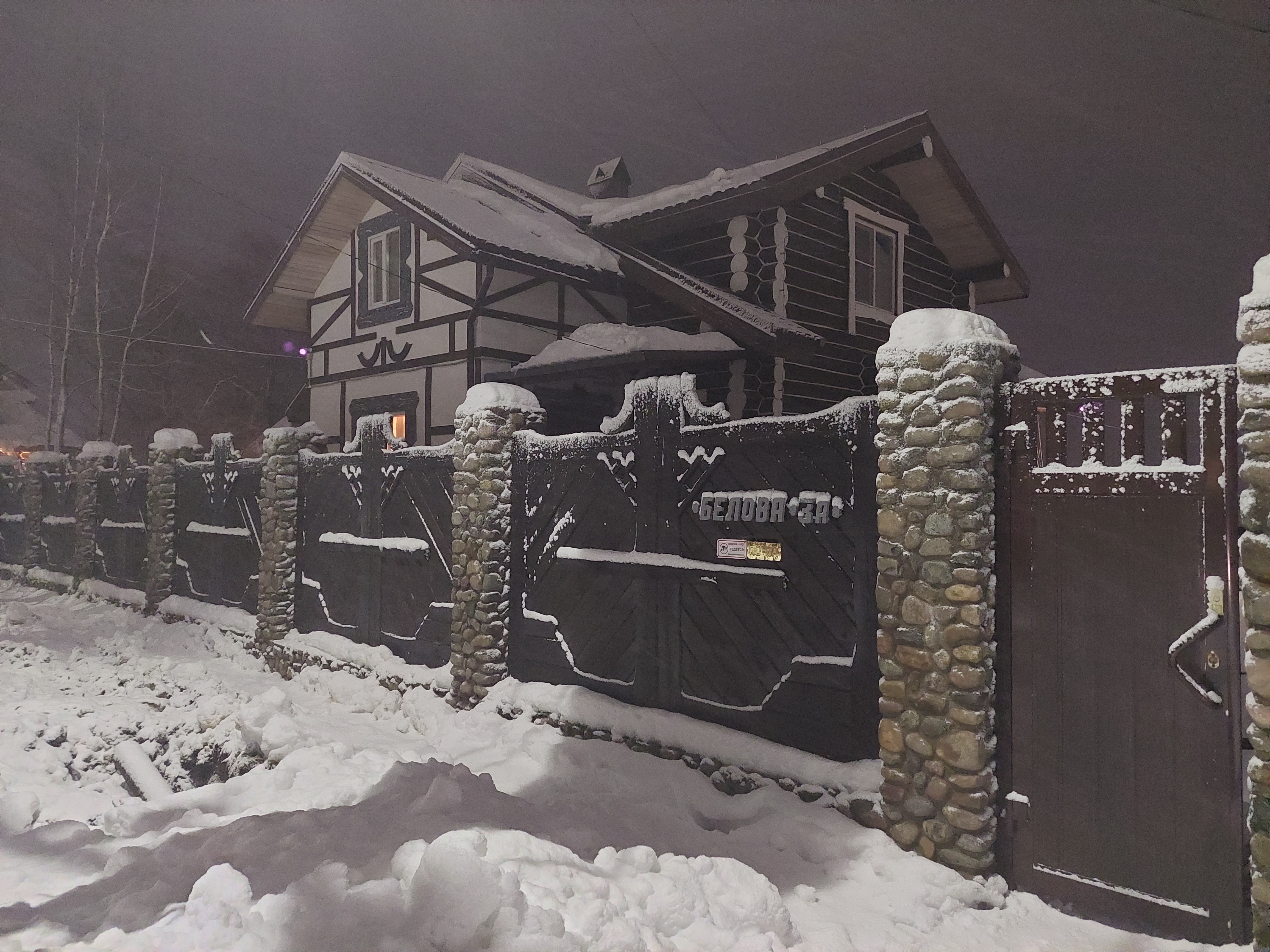 Фото Сорока