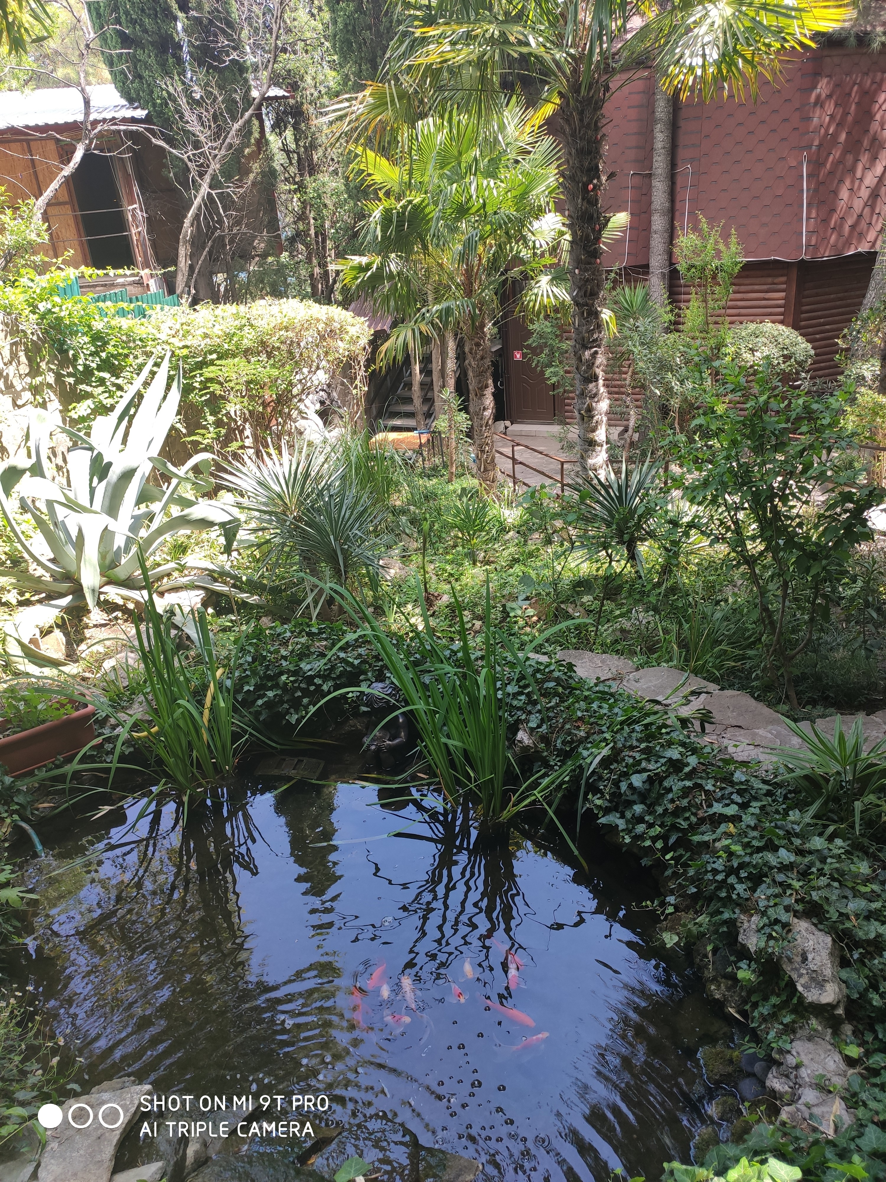 Фото Морской бриз